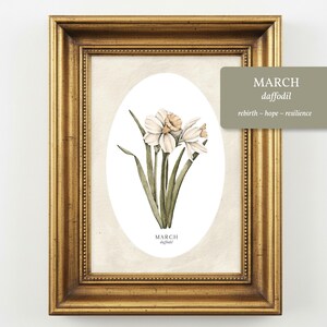 May include: A framed print featuring a watercolor illustration of white and peach daffodils inside an oval border. The text MARCH daffodil is printed below the flowers. A rectangular overlay displays the text MARCH daffodil rebirth ~ hope ~ resilience.