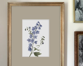 Delphinium Art Print | Botanical Painting | Floral Illustration | Watercolor | 5x7 | Home Decor