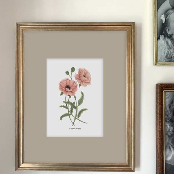 Oriental Poppy Art Print | Botanical Painting | Floral Illustration | Watercolor | 5x7 | Home Decor