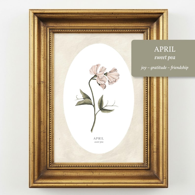May include: A botanical illustration of a pale pink sweet pea flower centered in an oval frame within a rectangular gold-toned frame. The text reads APRIL sweet pea joy ~ gratitude ~ friendship. The artwork features green leaves and delicate petals.