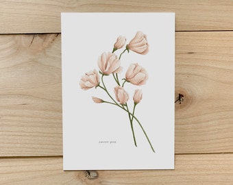 Sweet Pea Art Print | Botanical Painting | Floral Illustration | Watercolor | 5x7 | Home Decor