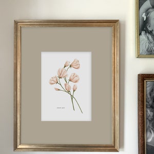 Sweet Pea Art Print | Botanical Painting | Floral Illustration | Watercolor | 5x7 | Home Decor