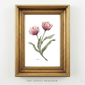 Tulip Art Print: Watercolor Botanical Wall Art, Floral Illustration, 5x7 Home Decor