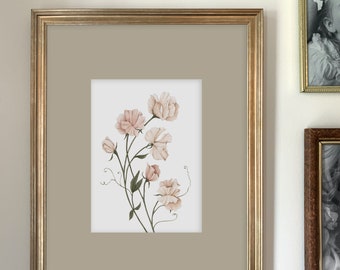 Sweet Pea Art Print | Botanical Painting | Floral Illustration | Watercolor | 5x7 | Home Decor