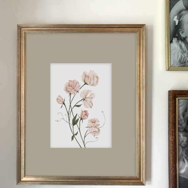 Sweet Pea Art Print | Botanical Painting | Floral Illustration | Watercolor | 5x7 | Home Decor