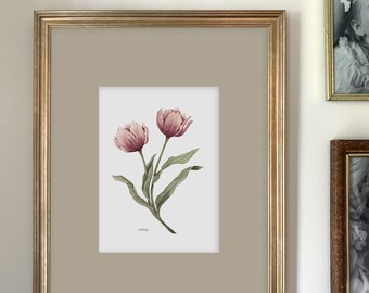 Tulip Art Print | Botanical Painting | Floral Illustration | Watercolor | 5x7 | Home Decor