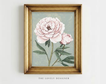 Pink Peony Watercolor Print: Vintage Botanical Wall Art, Blush Floral Illustration