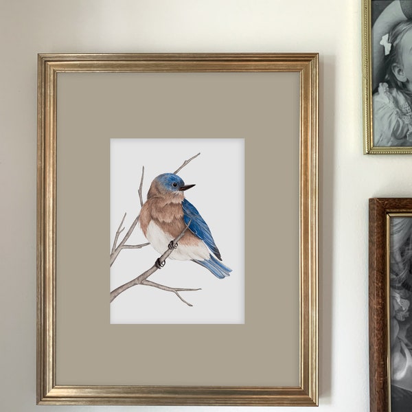 Bluebird Art Print | Botanical Painting | Bird Illustration | Watercolor | 5x7 | Home Decor