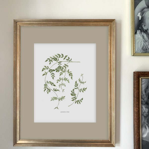 Jasmine Vine Art Print | Botanical Painting | Botanical Illustration | Watercolor | 8x10 | Home Decor