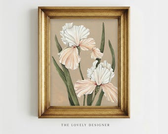 Peach Iris Watercolor Print: Vintage Botanical Wall Art, Soft Floral Illustration