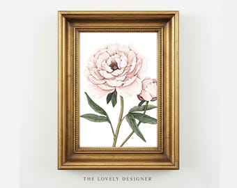 Peony Art Print: Watercolor Botanical Wall Art, Floral Illustration, 5x7 Home Decor