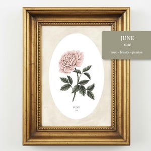 Birth Flower Print: Vintage Hand Painted Botanical Wall Art, Heirloom Style Floral Decor June