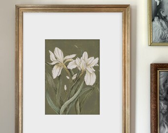 Iris Art Print | Nature Inspired | Botanical Illustration | Watercolor | Multiple Sizes Available | Home Decor