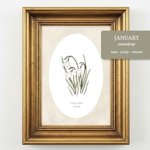 May include: A framed print featuring a botanical illustration of white snowdrop flowers with green stems inside an oval shape. The text reads JANUARY snowdrop. A rectangular overlay displays the text JANUARY snowdrop hope ~ purity ~ renewal.