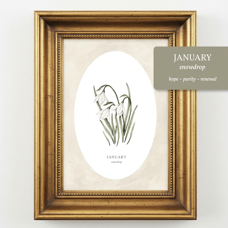 May include: A framed print featuring a botanical illustration of white snowdrop flowers with green stems inside an oval shape. The text reads JANUARY snowdrop. A rectangular overlay displays the text JANUARY snowdrop hope ~ purity ~ renewal.