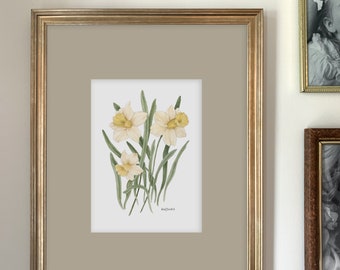 Daffodil Art Print | Botanical Painting | Floral Illustration | Watercolor | 5x7 | Home Decor