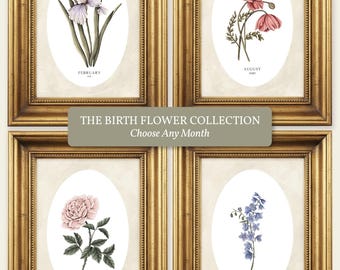 May include: Four framed botanical prints in ornate gold frames, each featuring an oval illustration of a birth flower labeled with the month. The prints display an iris for February, poppy for August, rose for June, and larkspur for July.