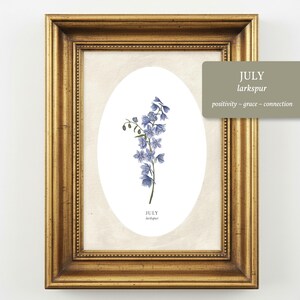 May include: A framed print featuring a botanical illustration of a blue larkspur flower centered within an oval white background. The text JULY and larkspur appear below the flower. A rectangular overlay displays JULY, larkspur, and positivity ~ grace ~ connection.