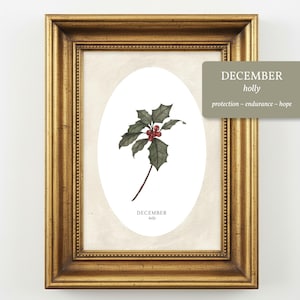 May include: A framed botanical print featuring a watercolor illustration of a holly sprig with dark green leaves and red berries centered in an oval. The text reads DECEMBER holly. A separate gray box includes the text DECEMBER holly protection ~ endurance ~ hope.