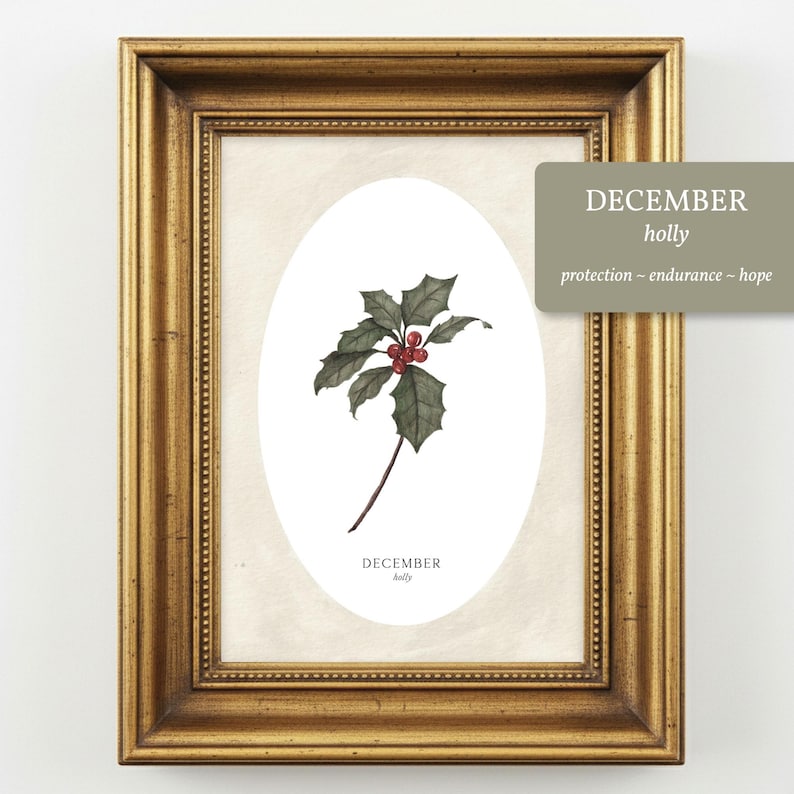 May include: A framed botanical print featuring a watercolor illustration of a holly sprig with dark green leaves and red berries centered in an oval. The text reads DECEMBER holly. A separate gray box includes the text DECEMBER holly protection ~ endurance ~ hope.