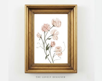Sweet Pea Art Print: Watercolor Botanical Wall Art, Floral Illustration, 5x7 Home Decor