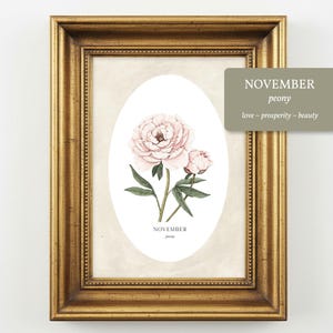 May include: A framed wall art print featuring a pale pink peony flower illustration inside an oval border. The text reads NOVEMBER peony. A separate rectangular overlay displays the text NOVEMBER peony love ~ prosperity ~ beauty in white.