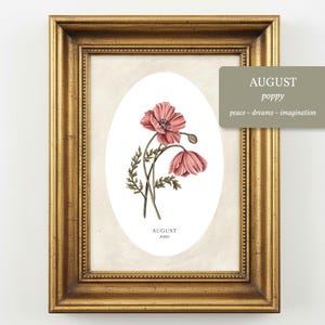 May include: A botanical illustration of pink poppy flowers inside an oval frame, set within an ornate gold-colored rectangular frame. The text AUGUST poppy appears below the flowers, and a gray box displays AUGUST poppy peace ~ dreams ~ imagination.