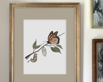 Monarch Stages Art Print | Botanical Painting | Botanical Illustration | Watercolor | 8x10 | Home Decor