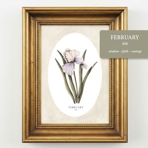 May include: A framed botanical print featuring a white and purple iris flower illustration centered within an oval border. The text FEBRUARY iris is printed below the flower, and a separate label reads FEBRUARY iris wisdom ~ faith ~ courage.