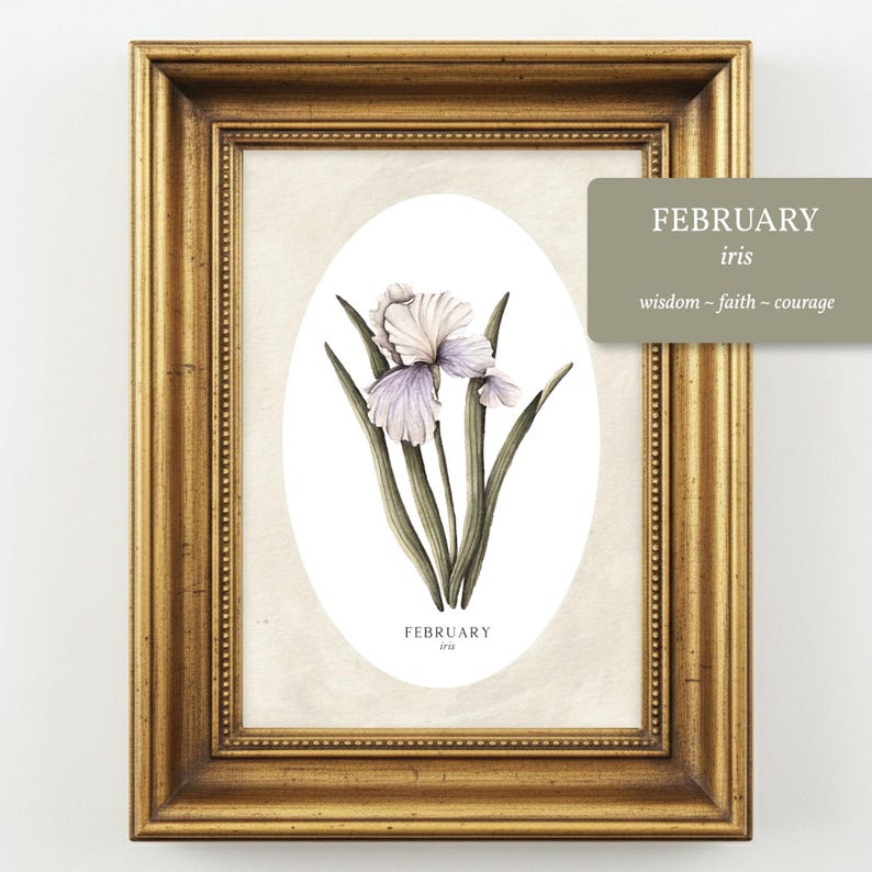 May include: A framed botanical print featuring a white and purple iris flower illustration centered within an oval border. The text FEBRUARY iris is printed below the flower, and a separate label reads FEBRUARY iris wisdom ~ faith ~ courage.