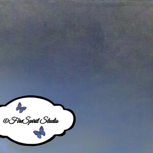 May include: A blue and gray gradient background with a white oval shape containing the text "© Fire Spirit Studio" and two purple butterflies.