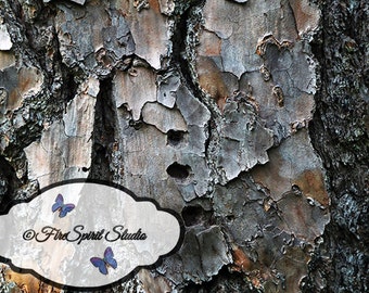 Textura de madera #1- capas- texturas- herramienta del diseñador- herramienta del artista-superposición artística-descarga digital-descarga instantánea-fondos inspiradores