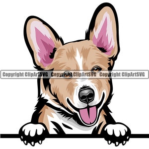 Pembroke Welsh Corgi Dog Gluren Peek-A-Boo Ras Glimlachend Puppy Animal Pet Hound Canine Cardigan Art Artwork Logo JPG PNG SVG Clipart Vector