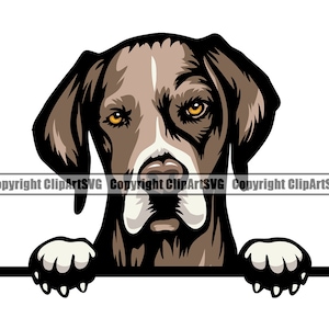 Pointer Hunderasse Spähen Peek-A-Boo Welpe Haustier Deutsche Dogge Englisch Deutsch Kurzhaar Weimaraner Vizsla Logo SVG PNG Clipart Vektor Schnitt Schnitt
