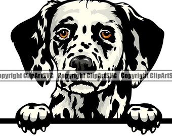 Puede incluir: Ilustración en blanco y negro de un perro dálmata con ojos marrones. Se ven la cabeza y las patas del perro, apoyadas en una línea negra. Incluye el texto "Copyright ClipArtSVG".