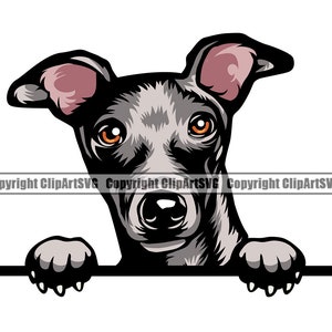 Greyhound Dog Breed Peeking Peek-A-Boo Paw Puppy Pup Pet K-9 Canine Italian Saluki Whippet Art Color Logo SVG PNG Clipart Vector Cut Cutting