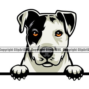 Puede incluir: Un perro pit bull blanco y negro con ojos naranjas asoma por encima de una superficie blanca. El perro tiene una expresión seria y sus patas son visibles.