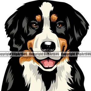 Berner Sennenhund Rasse Glückliches Gesicht Welpe Tier Haustier Stammbaum Reinrassiger Hund K-9 Farbe Art Artwork Design Logo SVG PNG Clipart Vektor Schnitt