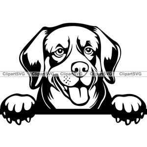 Entlebucher Berg Lächelnd spähender Hund Welpe Gesicht Eckzahn Haustier Portrait Pfotenabdruck Cartoon Zeichnung Art Logo Tattoo Berner Design SVG PNG Cut