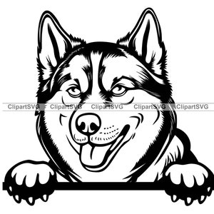 Husky sibérien souriant furtivement chien mignon chiot visage canin Pet Malamute Pedigree race patte Studio dessin Art Logo tatouage Design SVG PNG coupe