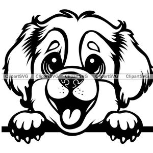 Bernhardiner Lächelnd spähen Hund Welpe Gesicht Canine Haustier Neufundland Berner Berg Saint Tibet Mastiff Pfote Art Logo Design SVG PNG Cut