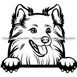 American Eskimo Smiling Peeking Dog Head Puppy Face Canine Breed Pet Portrait Paw Print Cartoon Drawing Art Logo Tattoo Design SVG PNG Cut