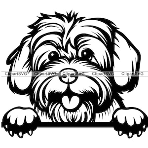 Lowchen souriant furtivement chien mignon visage canin animal bichon havanais Shih Tzu Lhassa Apso patte impression dessin animé dessin Art Logo tatouage conception SVG PNG coupe