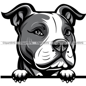 Zwarte Pit Bull Terrier Gluren Hond Schattige Puppy Gezicht Honds Huisdier Amerikaanse Pitbull Stamboom Blauwe Neus Paw Art Logo Tattoo Design SVG PNG Cut