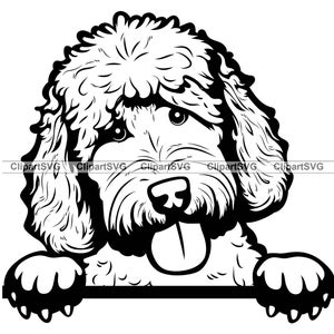 Sheepadoodle Lächelnd spähender Hund niedlich Welpe Gesicht Canine Haustier Old English Sheepdog Toy Pudel Portrait Pfote Art Logo Tattoo Design SVG PNG Cut