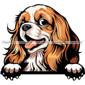 Cavalier King Charles Spaniel Sorrindo Espiando Cão Cachorrinho Fofo Rosto Canino Animal de Estimação Retrato Impressão de Pata Desenho Animado Arte Logotipo Tatuagem Design SVG PNG Cut