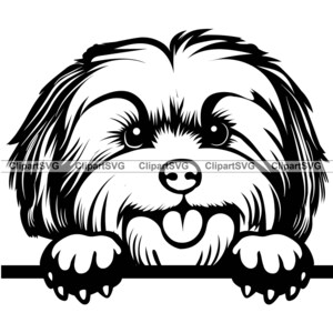 ハバニーズの笑顔の覗く犬 かわいい子犬の顔 犬のペット ラサ アプソ 肖像画 足跡 漫画 描画 アート ロゴ タトゥー デザイン SVG PNG カット カッティング