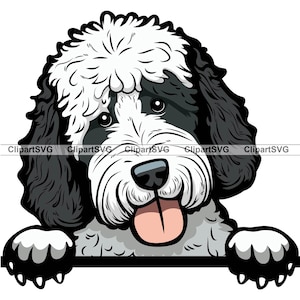 Sheepadoodle glimlachend gluren hond schattig puppy hoofd hond huisdier oud Engels herdershond speelgoed poedel portret Paw Art logo tattoo ontwerp SVG PNG knippen