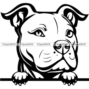 dibujo de tatuaje de pitbull