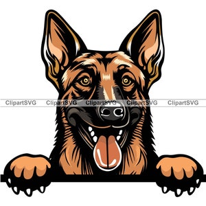 Belgian Malinois Shepherd Smiling Peeking Dog Puppy Face Canine Pet Portrait Paw Print Cartoon Drawing Art Logo Tattoo Design SVG PNG Cut